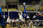 Belles dominate the Greyhounds and Lady Buffs
