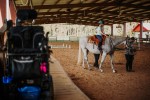 ‘I have never seen her as happy as when she’s riding’