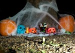 Halloween: How to, Where to, What to do
