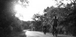 Biking Introduced at Concord