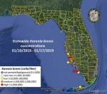 Red tide returns to Sarasota