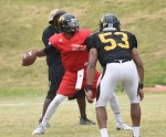 Teams use summer to build, train
