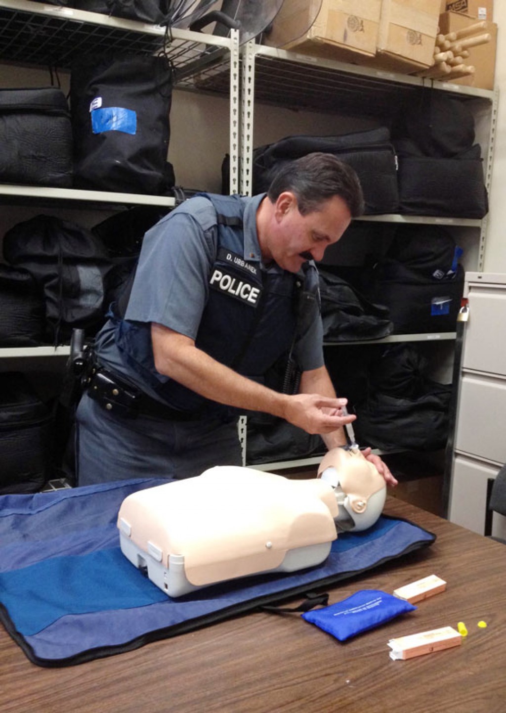 Kumpulan Gambar Hewan