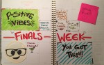 Seeking Motivation?