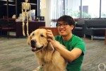 Shimberg Library’s furry ambassador: Golden Snitch