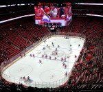 Red Wings announce alternative captains