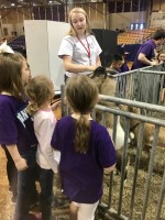 First graders flock to Farm Day
