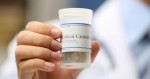Medical marijuana lobbyists appeal to Florida lawmakers