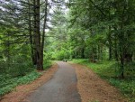 USF’s Botany Club to host its first native plant walk