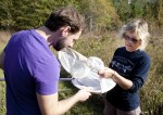 Bee biologist receives grant
