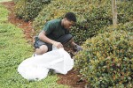 Big Event lays path to President’s Honor Roll for Community Service