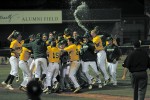 Lions crush wildcats in three game series