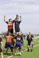 Ram Rugby falls to Roadrunners