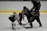 Ice Bulls eyeing playoffs in ‘16