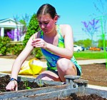 New garden at Tech's food pantry