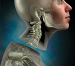 Head Transplant to Take Place in December 2017
