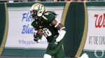 Four Bulls named to preseason watch lists