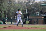 Baseball's series opener against North Carolina postponed