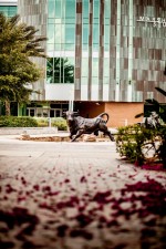 USF reaches preeminent status