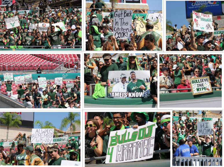 Photos: Best signs from USF vs. FSU