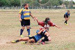 Belles get tough for rugby season