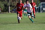 Men's Soccer Drops Two Over Weekend