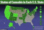 Will Florida be the next state to legalize marijuana?
