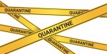 Ten things to keep you busy while quarantined