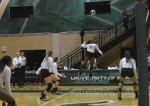 USF volleyball receives postseason invitation