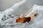 Frozen in time