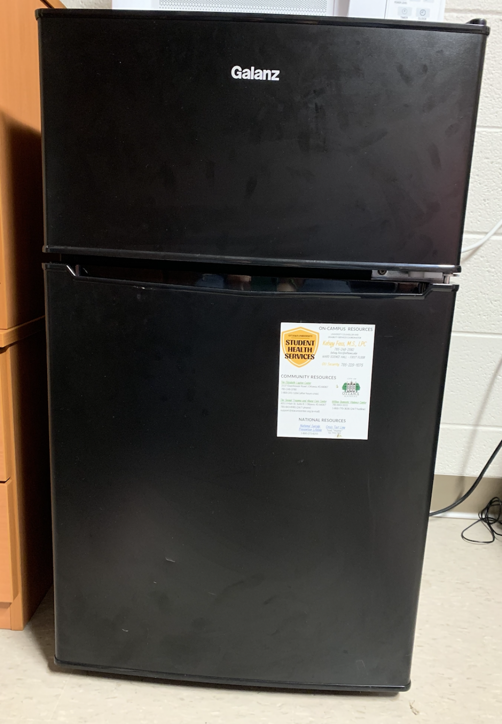 The top 10 best foods to have in your mini fridge this semester