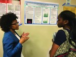 Physics majors dominate Research Week