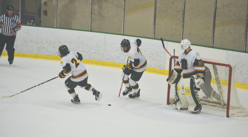 Cardinals soar over Golden Eagles, on ice