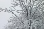 It's sNOw Big Deal