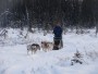Vermonter takes on Alaska By Nicole Webster - Castleton Spartan