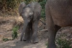 Mambo from Tanzania!