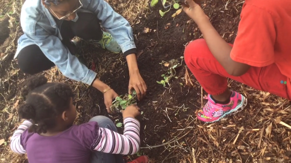 Two food farmers engage the community through garden