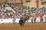 ASU Day at the Rodeo