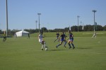 Viens sets another USF school record in 5-1 win over SMU