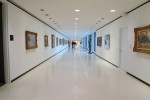 Building a better Albright Knox